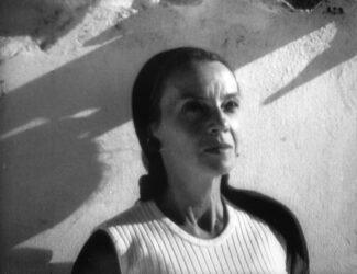 breyner andresen